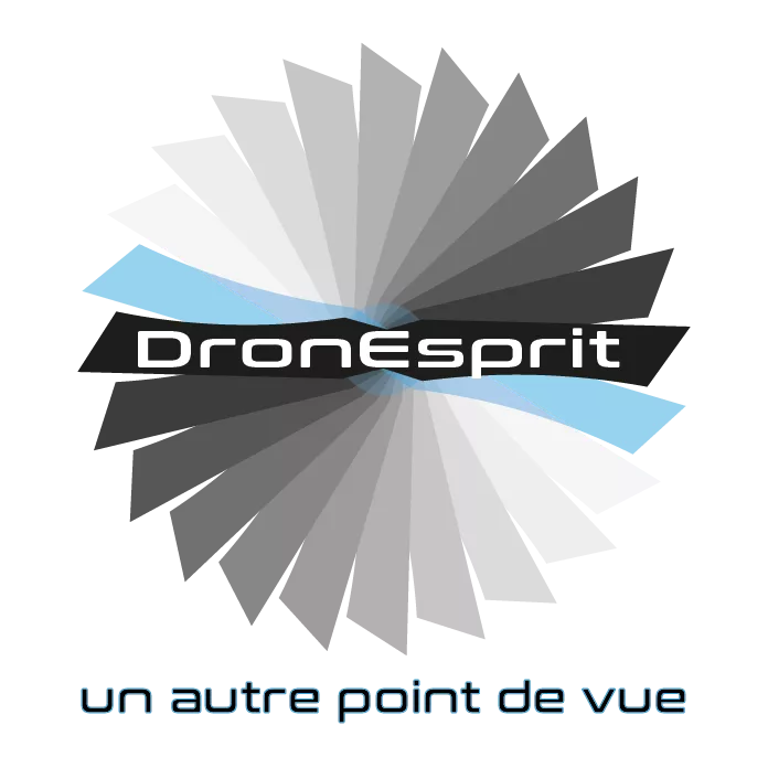 DRONESPRIT