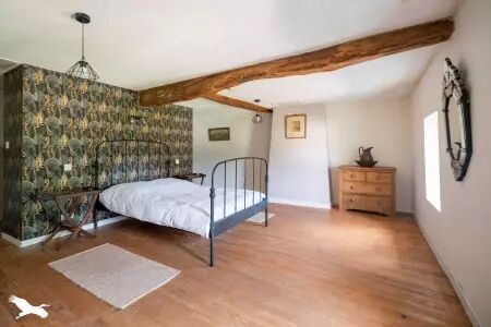 Immobilier : Photo et Vidéo et Drone