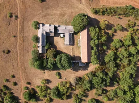 Immobilier : Drone