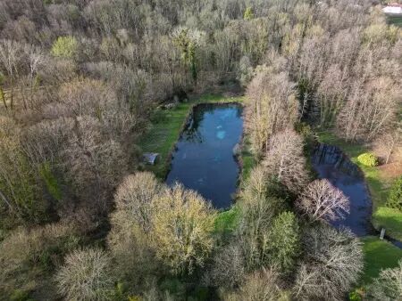Immobilier : Drone