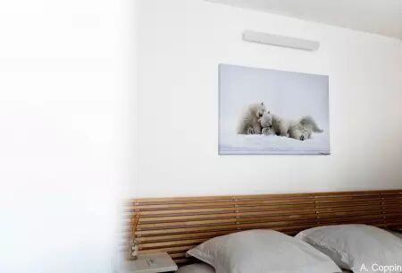Immobilier : Photo