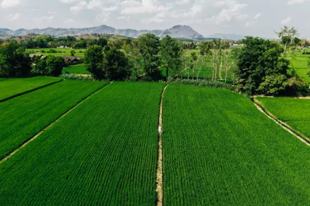 Reportage, voyage, tourisme : Drone