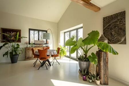 Immobilier : Photo et Drone