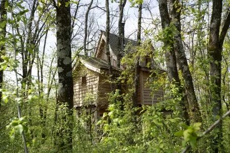 Immobilier : Photo et Drone