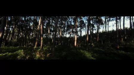 Reportage, voyage, tourisme : Photo et Vidéo et Drone