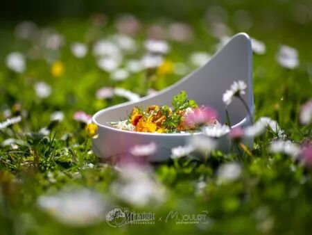 Photographie culinaire : Photo