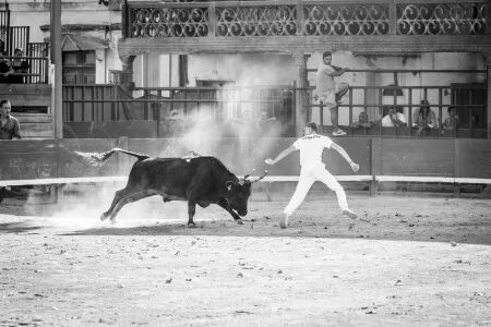 Photographe événementiel : Photo et Vidéo et Drone