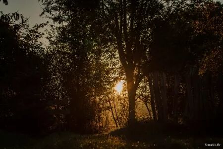 Photographe événementiel : Photo et Vidéo et Drone