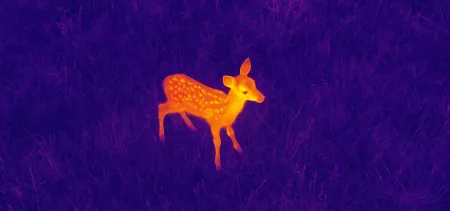 Surveillance : Drone