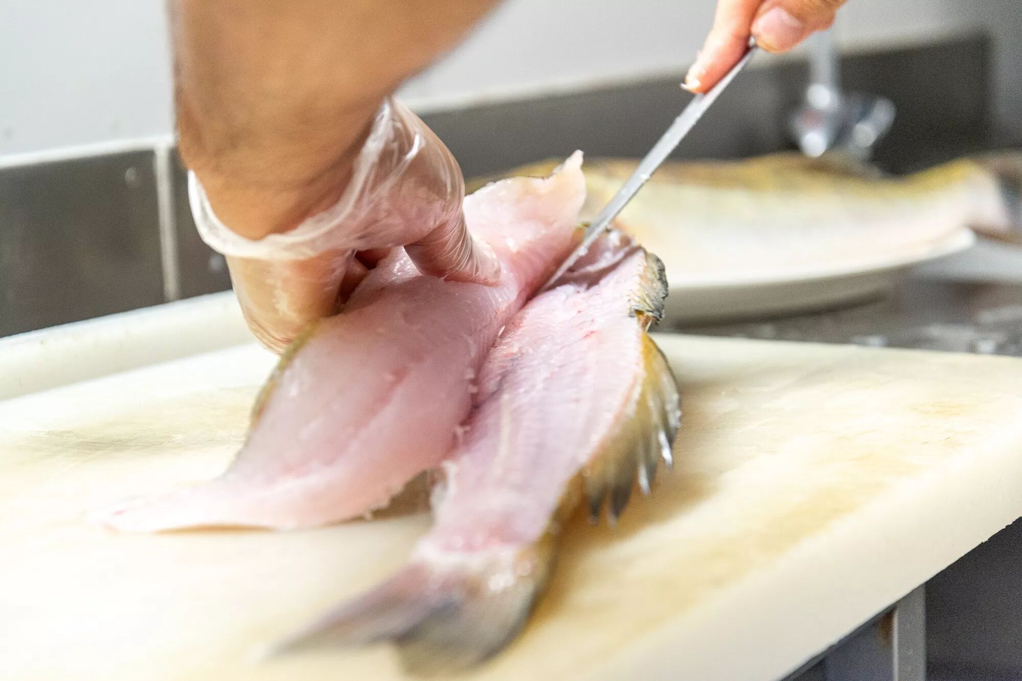 Photographie culinaire : Photo