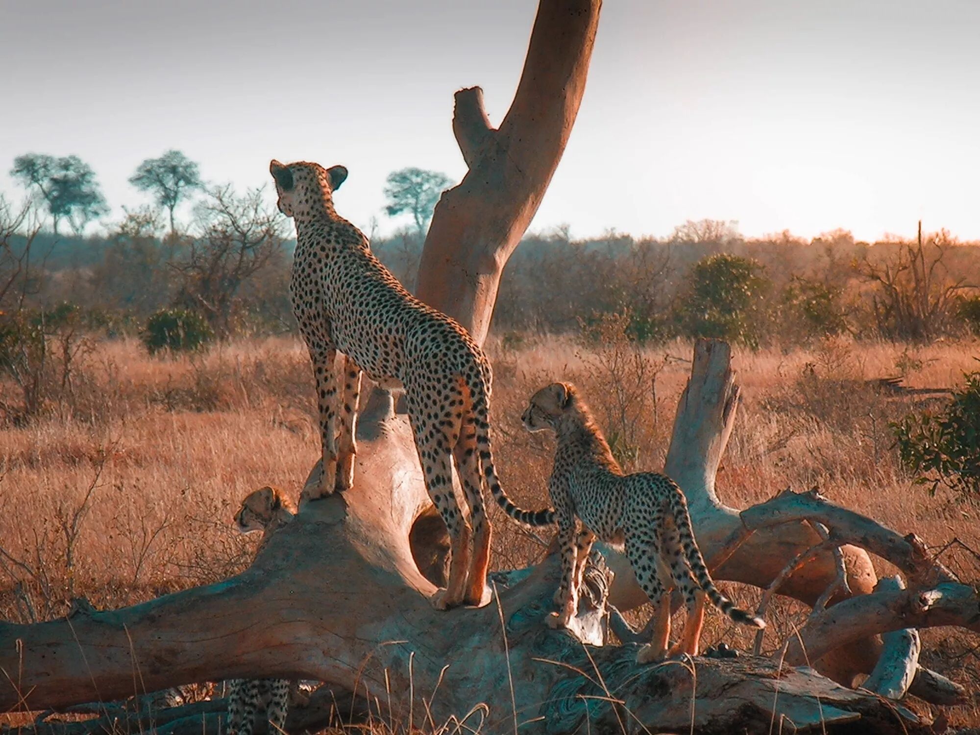 Reportage, voyage, tourisme : Photo et Vid&eacute;o et Drone
