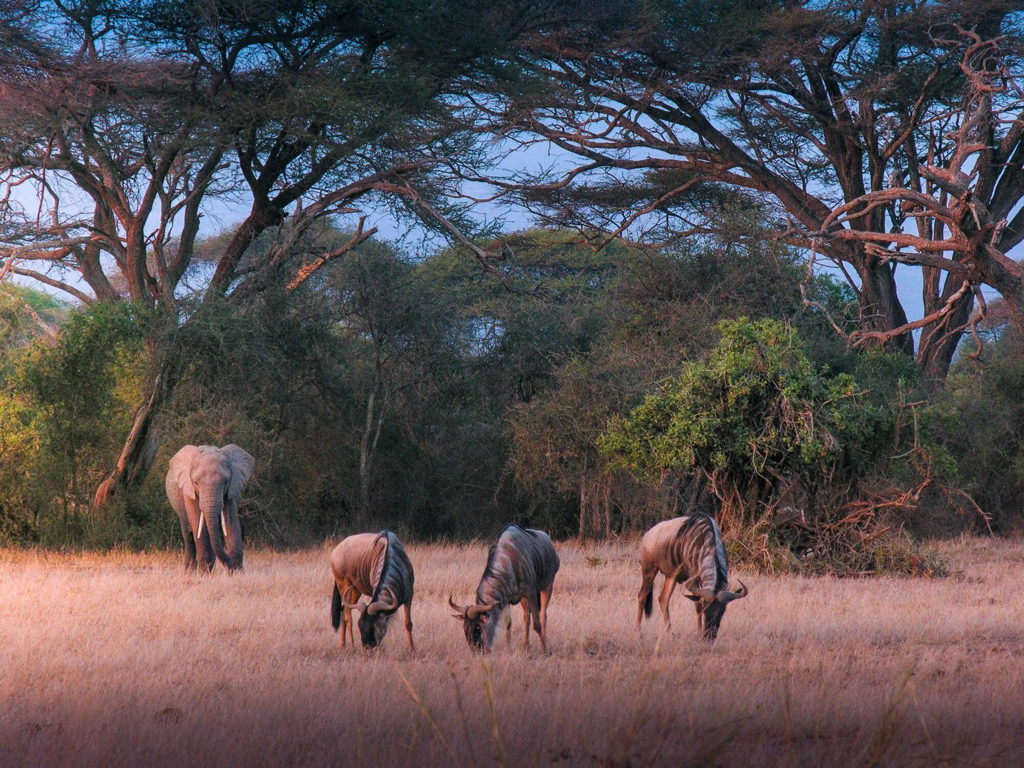 Reportage, voyage, tourisme : Photo et Vid&eacute;o et Drone