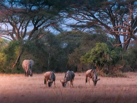 Reportage, voyage, tourisme : Photo et Vid&eacute;o et Drone