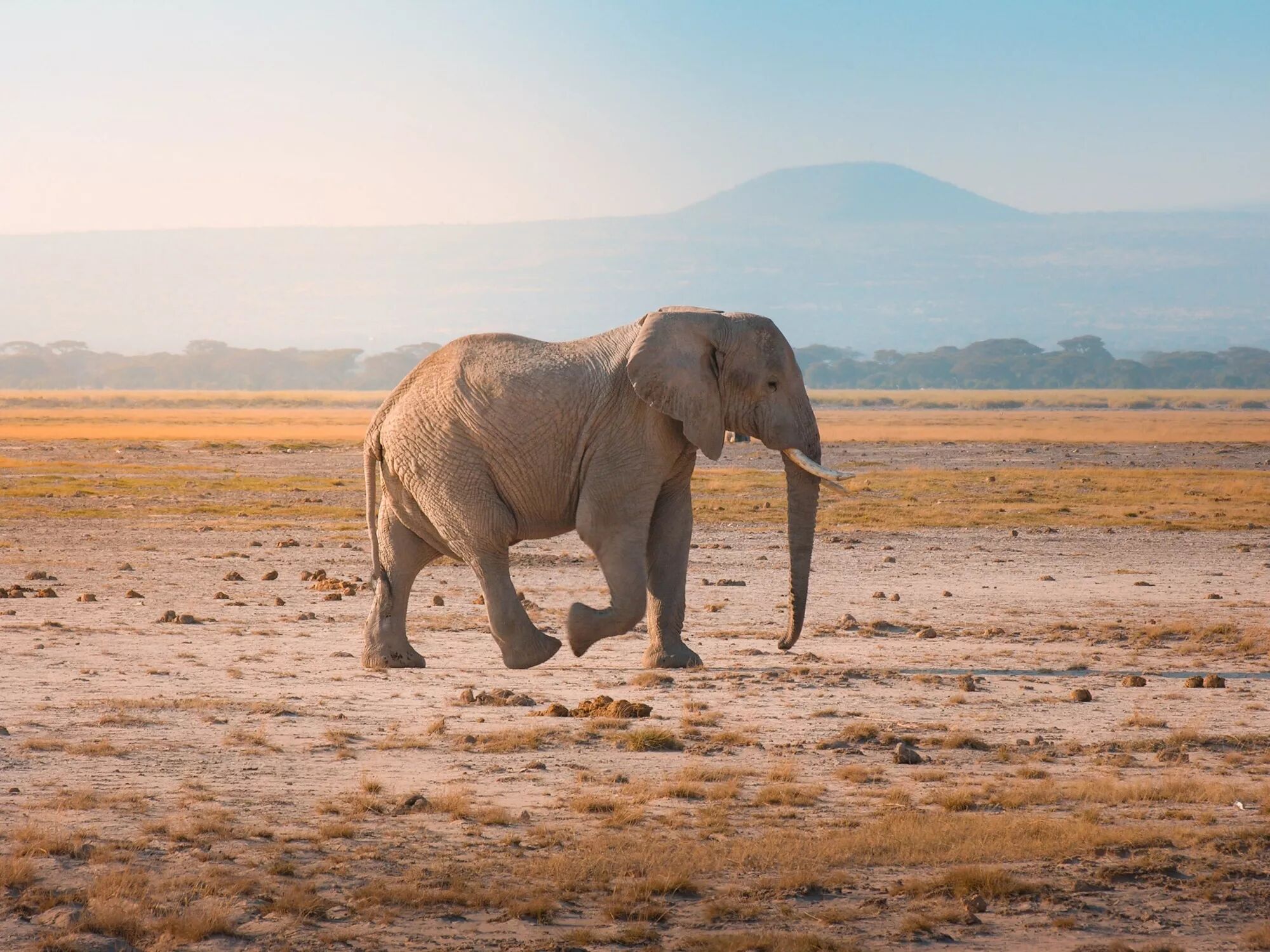 Reportage, voyage, tourisme : Photo et Vid&eacute;o et Drone