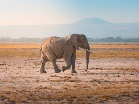 Reportage, voyage, tourisme : Photo et Vid&eacute;o et Drone
