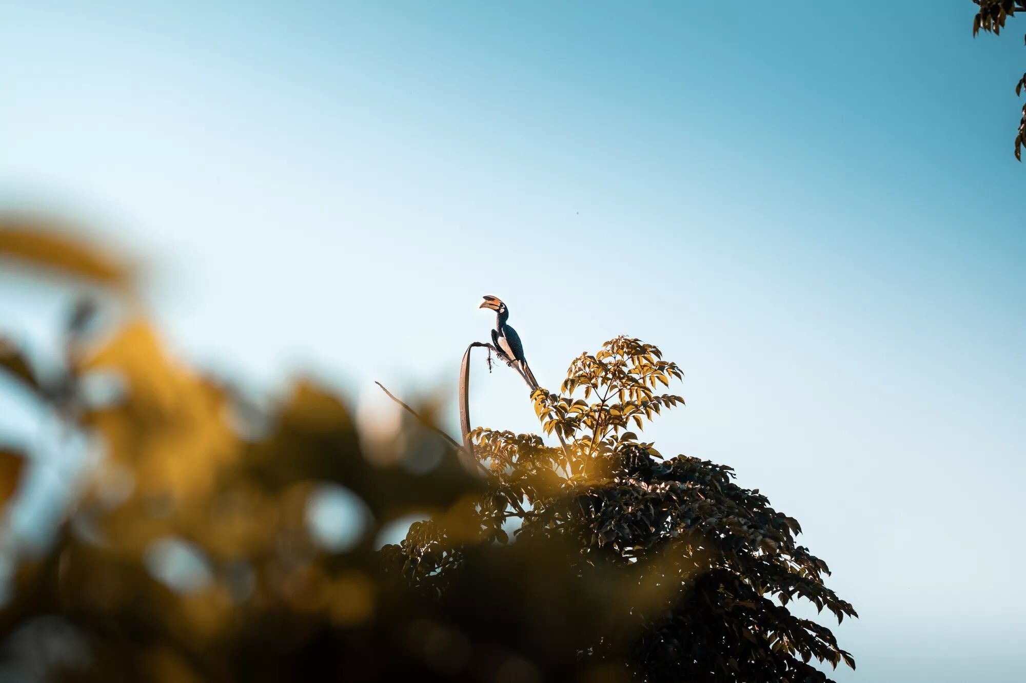 Reportage, voyage, tourisme : Photo et Vid&eacute;o et Drone