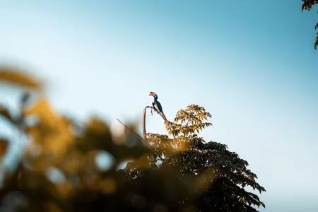 Reportage, voyage, tourisme : Photo et Vid&eacute;o et Drone