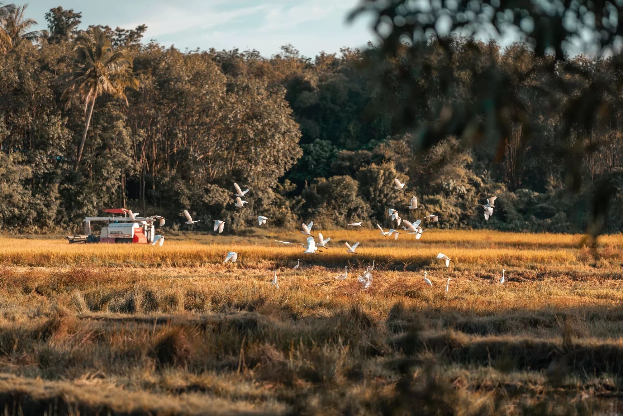 Reportage, voyage, tourisme : Photo et Vid&eacute;o et Drone