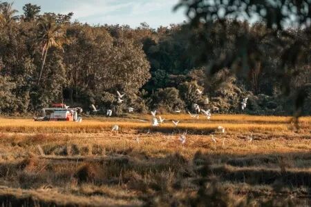 Reportage, voyage, tourisme : Photo et Vid&eacute;o et Drone