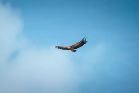 Reportage, voyage, tourisme : Photo et Vid&eacute;o et Drone