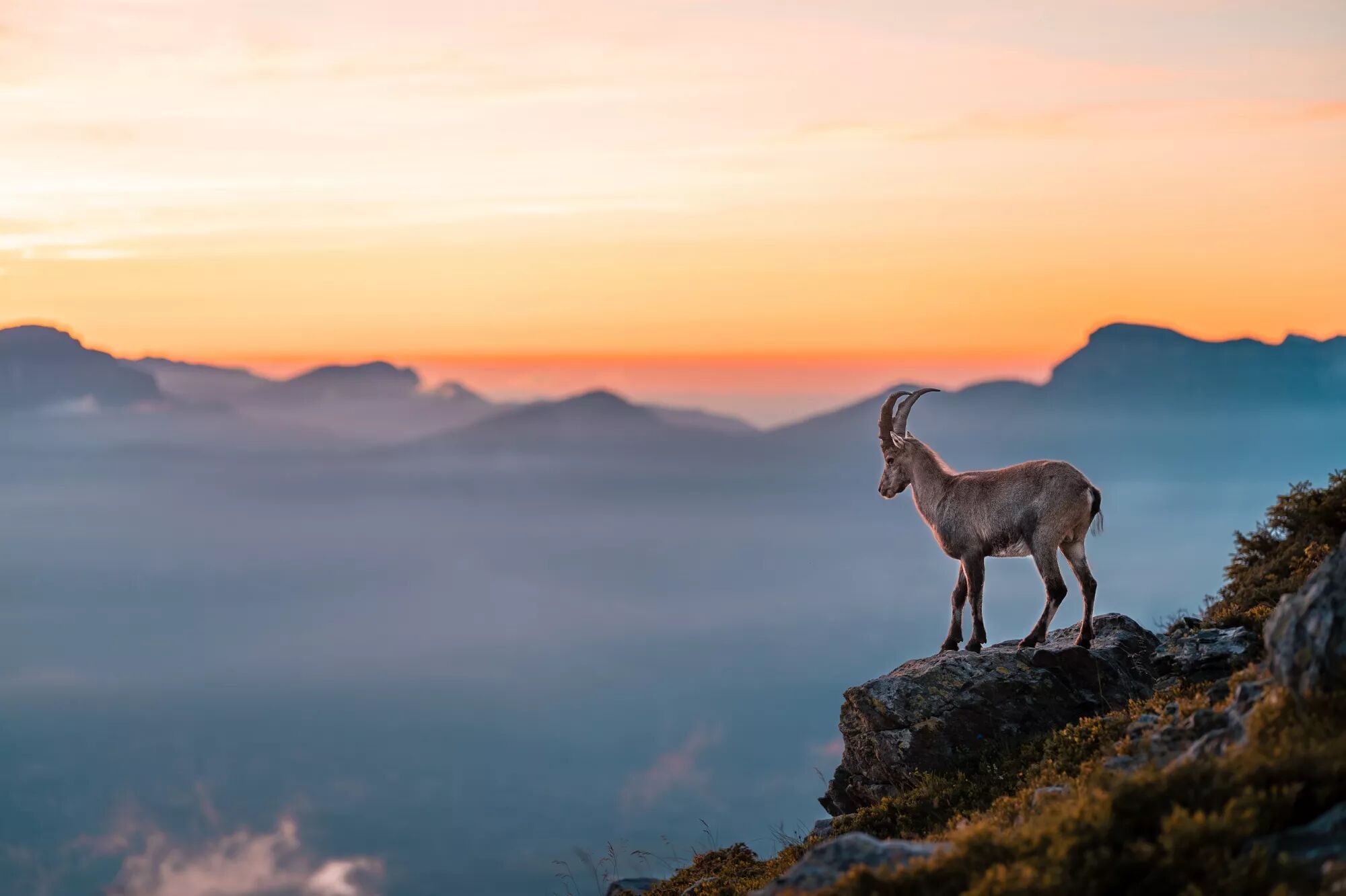 Reportage, voyage, tourisme : Photo et Vid&eacute;o et Drone